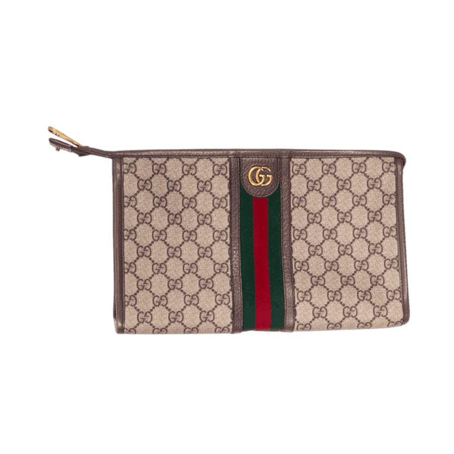 LOUIS VUITTON Gucci Ophidia Pouch GG