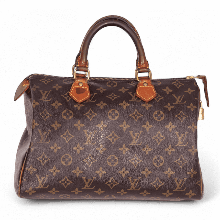 LOUIS VUITTON Louis Vuitton Speedy 30 Monogram