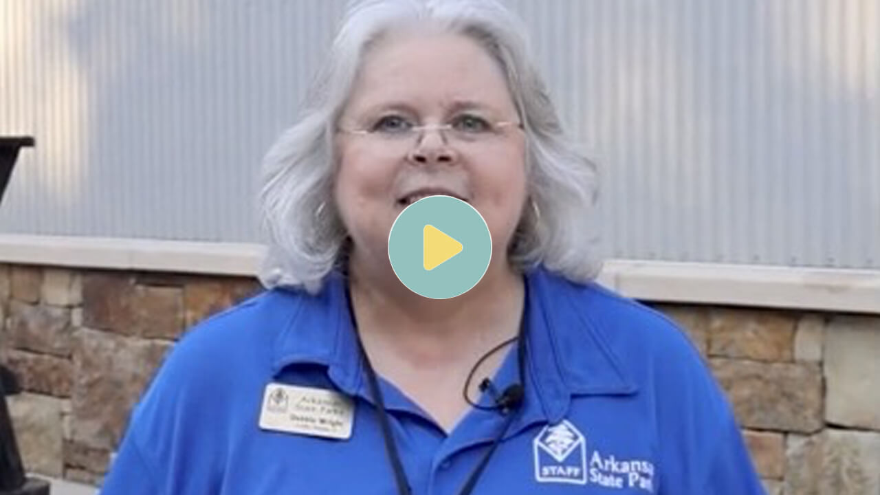 Video from Crater of Diamonds State Park>