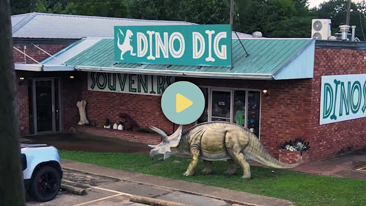 Video from Dino Dig >