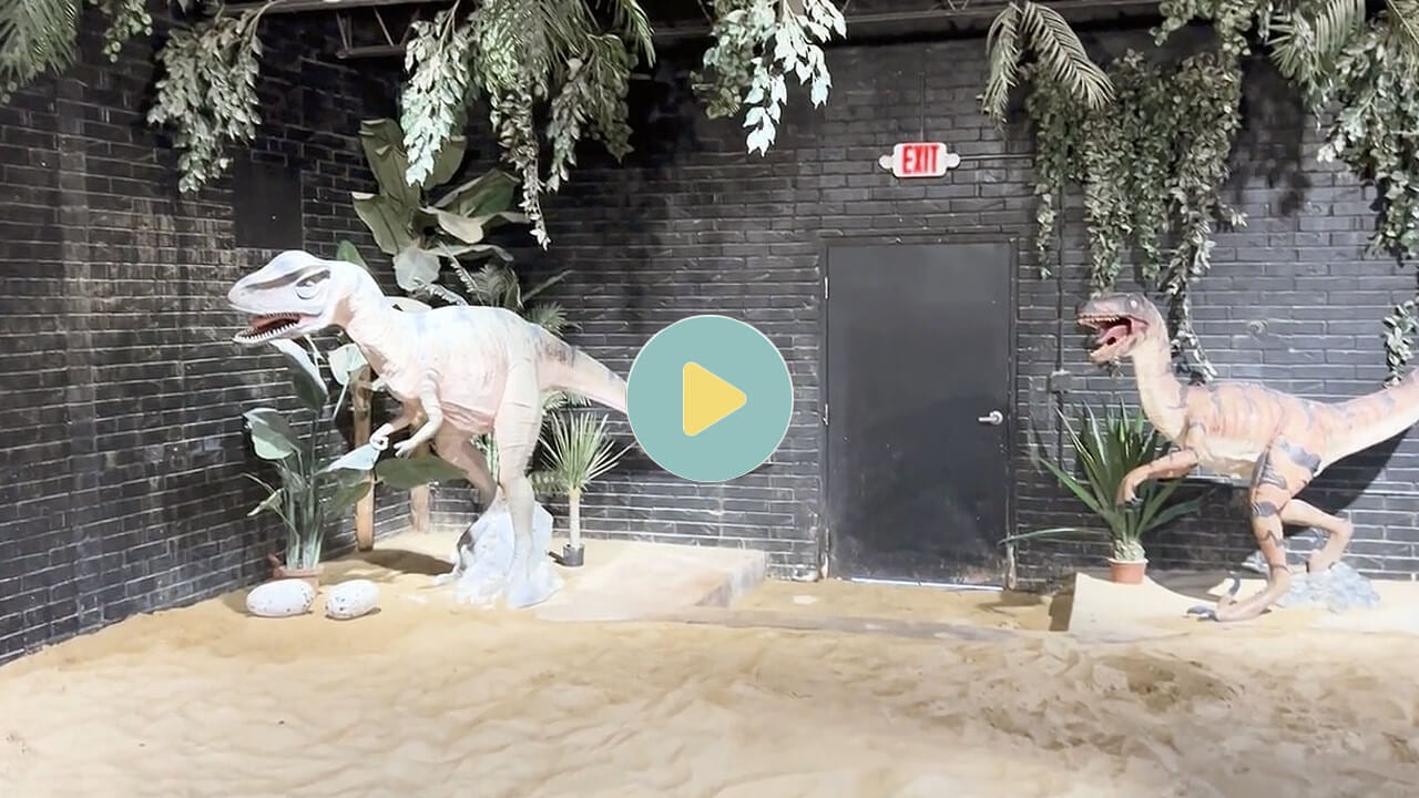 Video from Dino Dig >