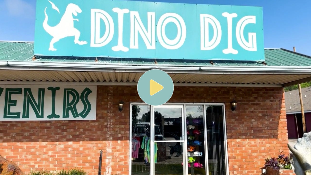 Dino Dig 
