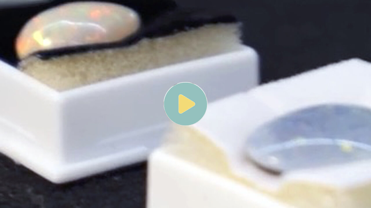 Video from Town Square Gallery>